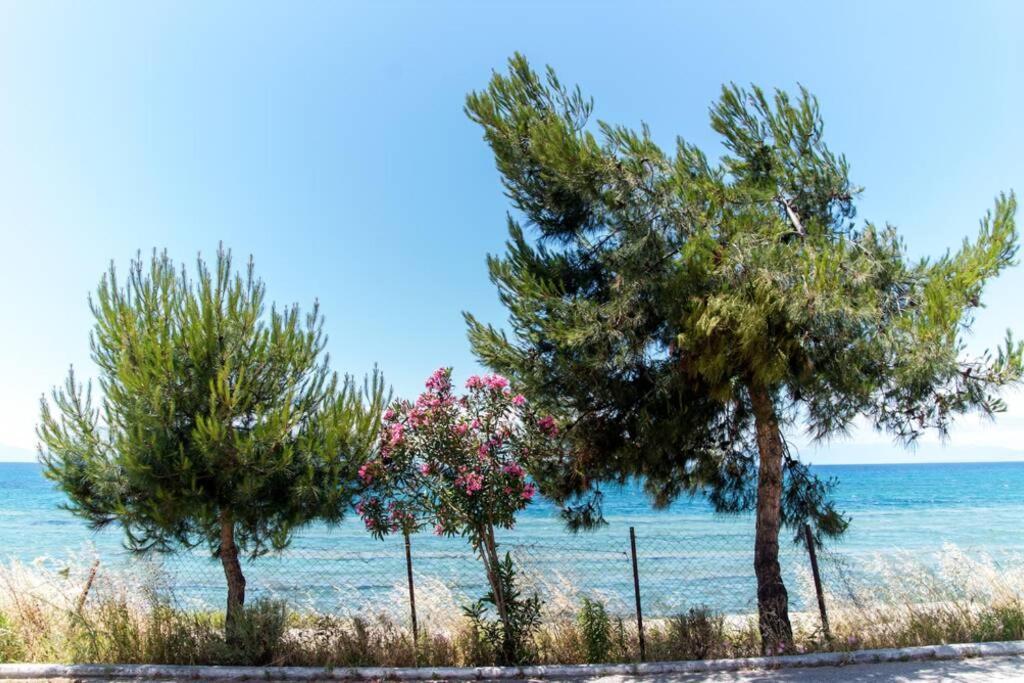 Seafront 2 Bedrooms Apartment เนอาอิรากลีอา ภายนอก รูปภาพ